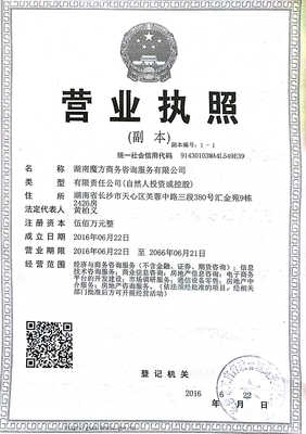 湖南魔方商务咨询服务 专业销售与技术咨询的完美融合