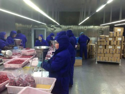 情义与拼搏 百元相助铺就的创业之路